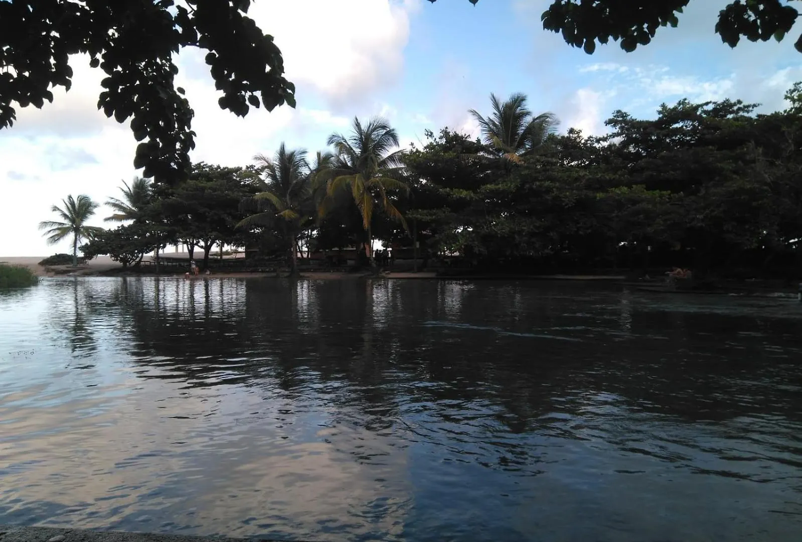 Flor D Loto Apartment Los Patos Dominican Republic